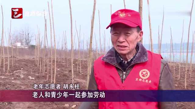 宜都:开展义务植树活动,绿化美化长江岸线