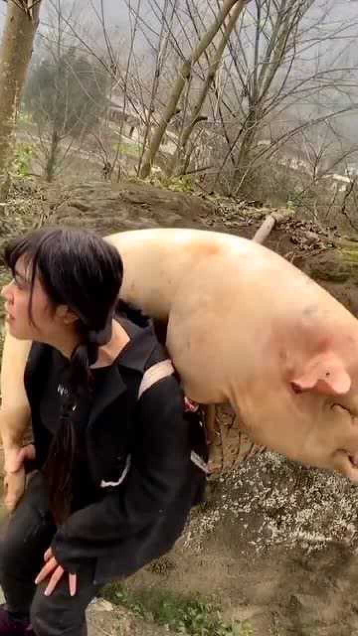 农村女孩背猪进城卖这么瘦小我都心疼啦