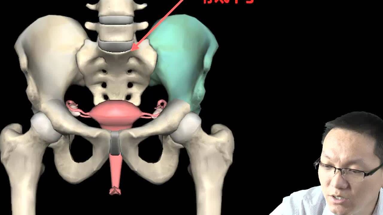 创新医考白文涛老师主讲执业医师骨盆平面3d解剖1