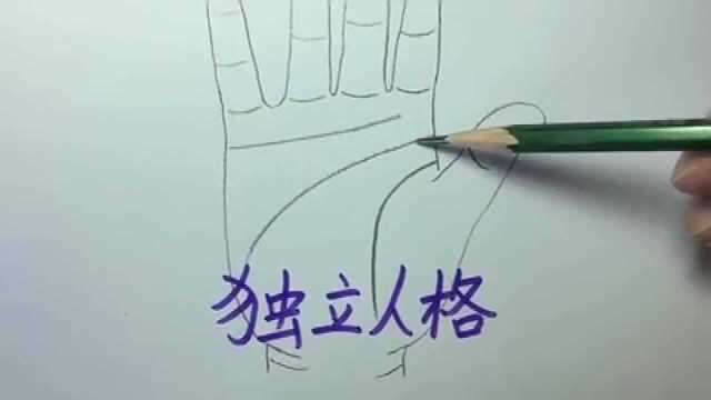 手相解析:这种掌纹的人,思维跳跃较快,对自身发展有利也有弊!