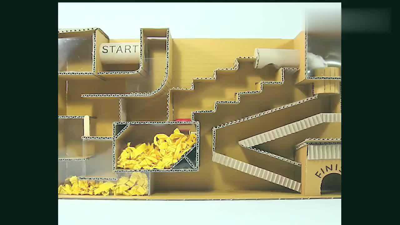 给仓鼠做了个迷宫做得这么复杂它竟然不到一分钟就走出来了
