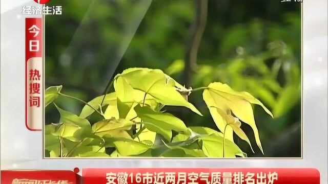 安徽16市近两月空气质量排名出炉 看来是时候去黄山踏青了