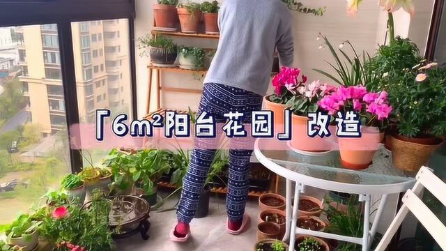 「6㎡阳台花园」改造