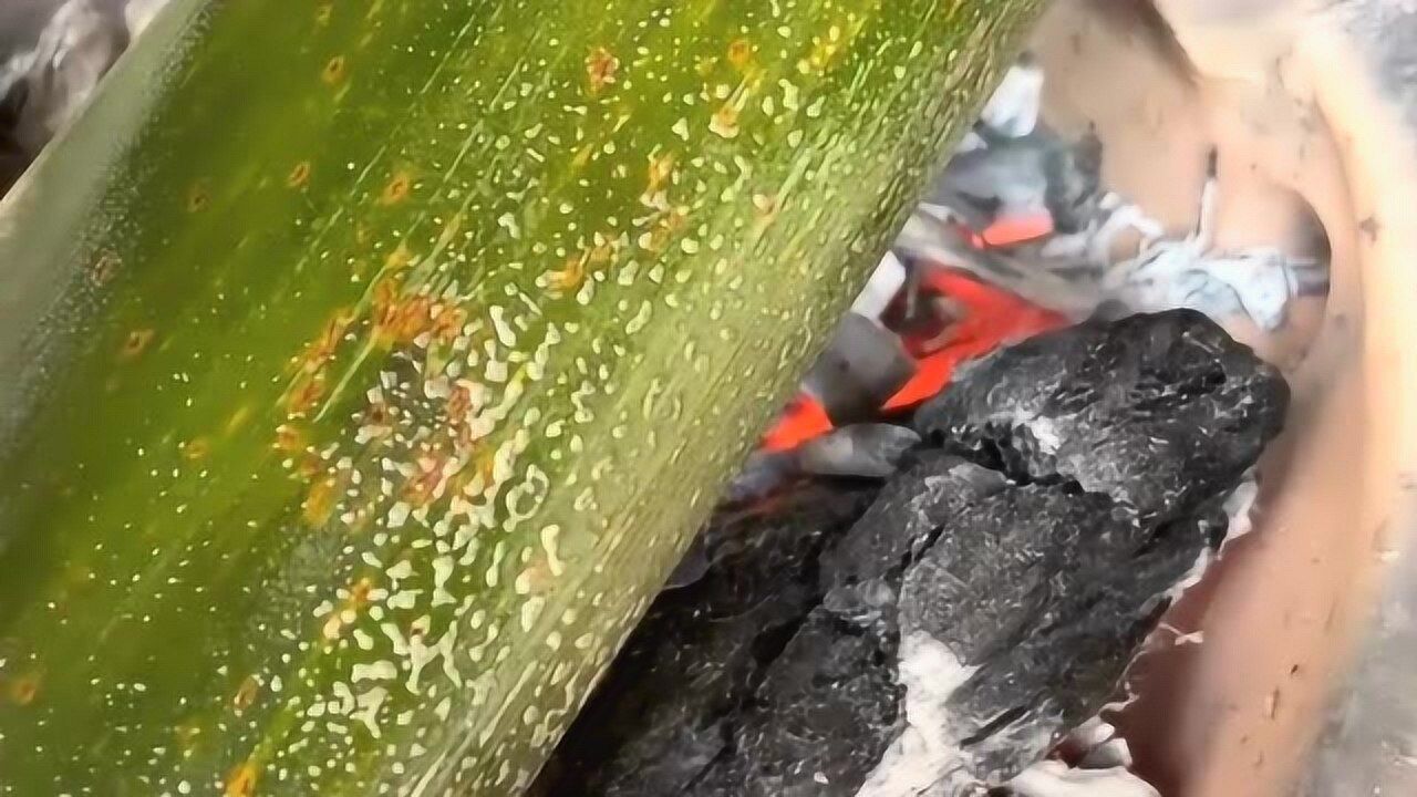 用炭火烤竹子第一次见,只见竹子里的水分都被蒸发了,不知道做什么用!