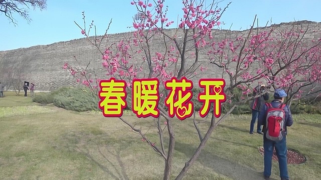 《春暖花开》大地红,吉祥如意满人间