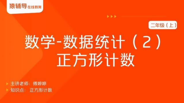 小学二年级(上)数学《数据统计(2):正方形计数》