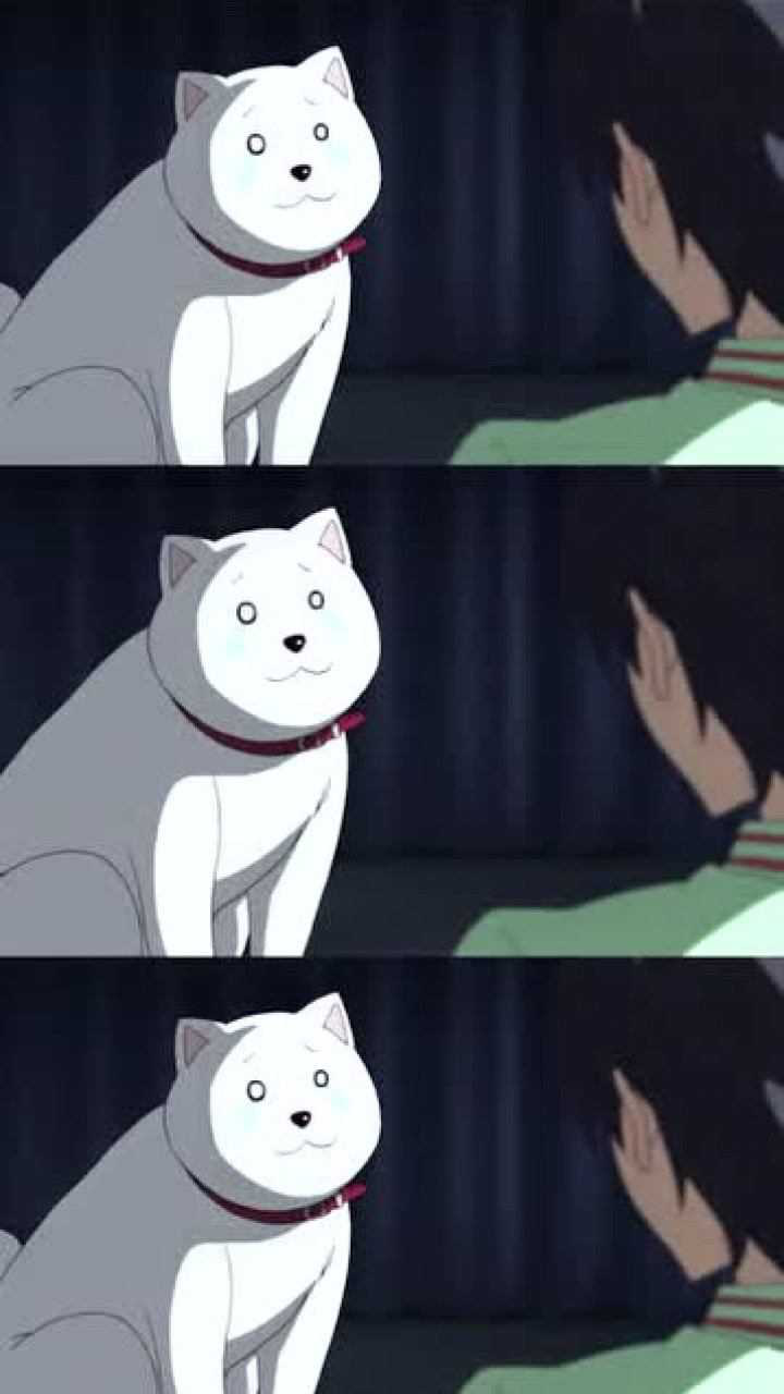 笨女孩能够和小明相互理解的就只有这只狗了