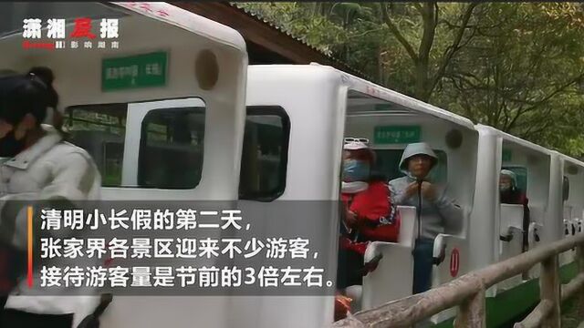 张家界:景区门票“买一送一”提振旅游市场人气