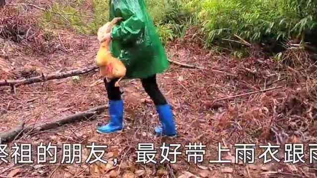 又到清明节,阿红全家上山给奶奶扫墓,祭拜祖先场景感人