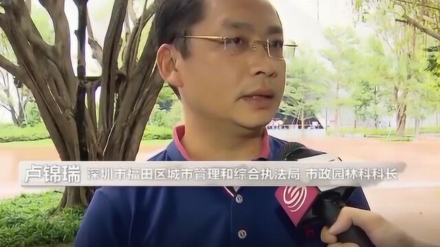 深圳福田区打造市首个社区公园群