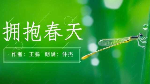 《拥抱春天》作者:王鹏 朗诵:仲杰