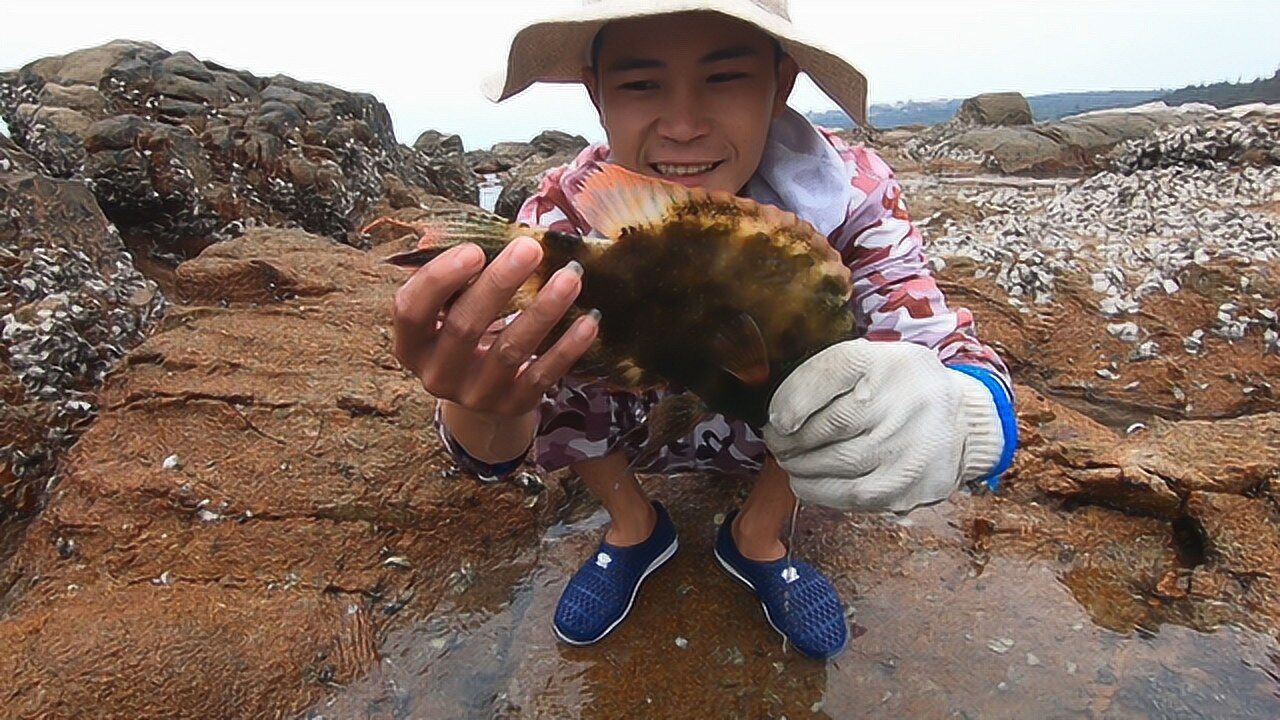 阿忙修好相机回来赶海没想到第一天就遇上大潮要叫上如花赶海