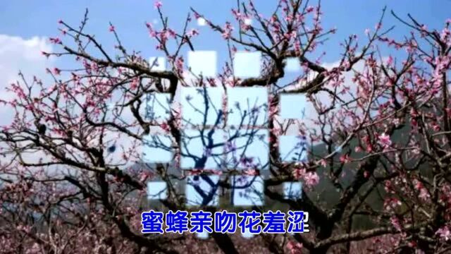 《家乡的油菜花》