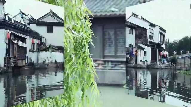 苏州同里古镇,一个安静而又美好的地方[微风]#最美旅游风景#