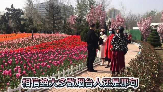 鲍毓明让这里又出名了,天地广场上开出美丽郁金香,烟台那些事儿