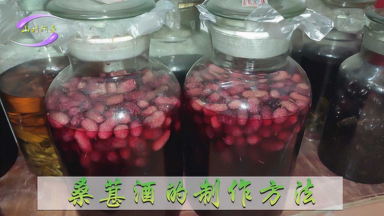 农家自酿桑葚酒的制作方法 自制做法简单好喝 桑果泡酒功效和作用这么多腾讯视频