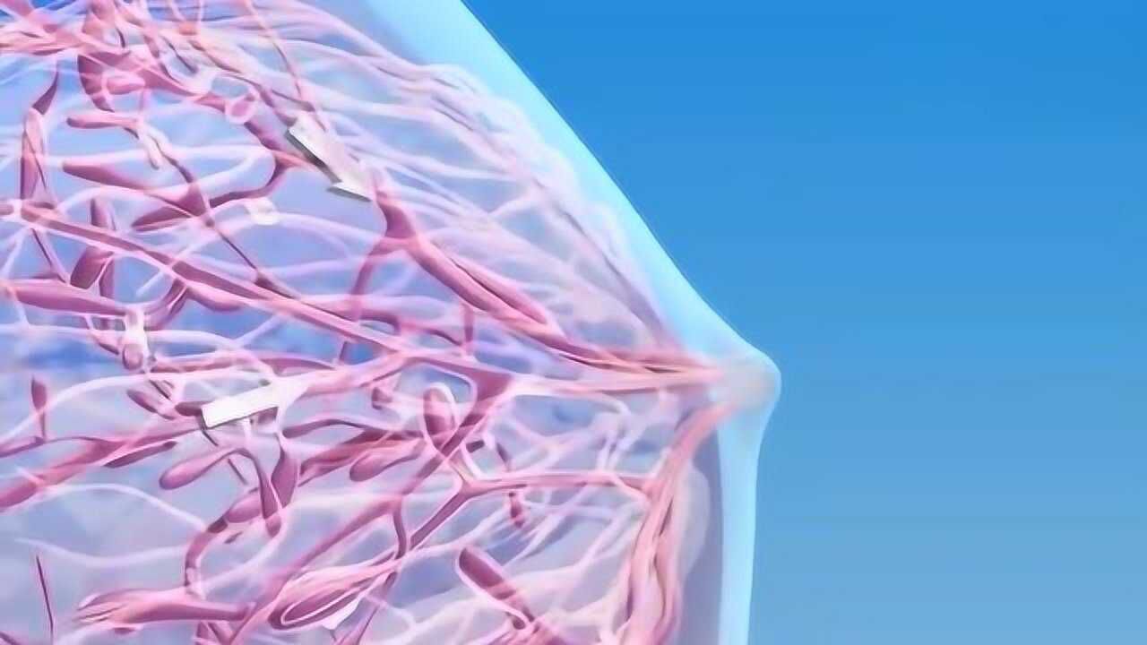 3d医学科普动画乳腺癌