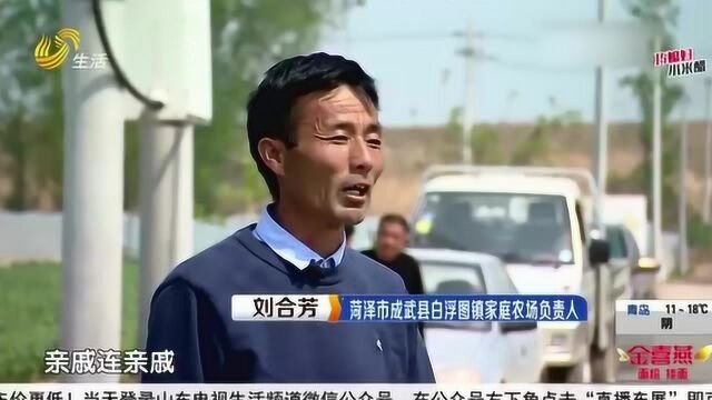 菏泽:无人机飞防 农业生产搭上科技快车 农民纷纷拍手叫好