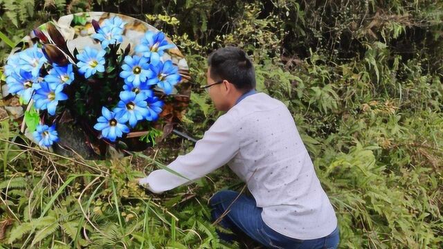 山上发现19株珍贵野草,花朵呈紫色浑身上下都是宝,你认识吗?