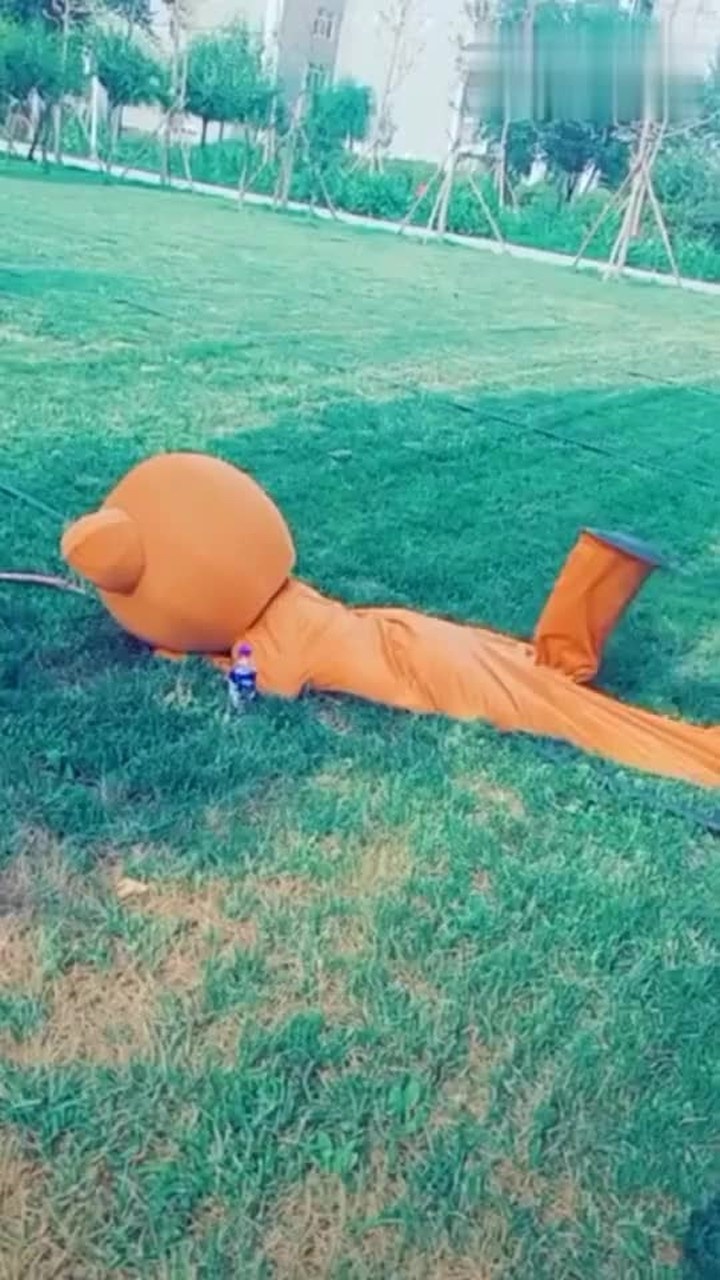 网红熊太搞笑了本来想耍一下帅没想到自己摔了一跤