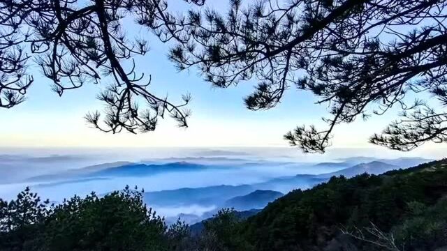 相约天岳幕阜山,一起看岳阳最美春天