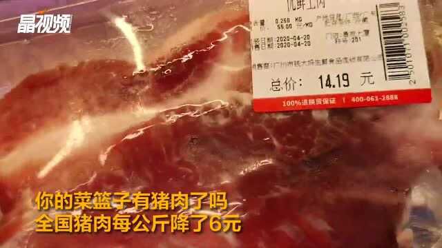 全国猪肉每公斤降了6元,网友:再降点!