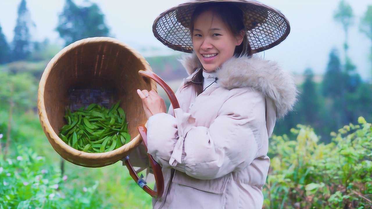 山上豌豆结很多,农村姑娘淋着雨来摘,还是自家种的蔬菜好吃