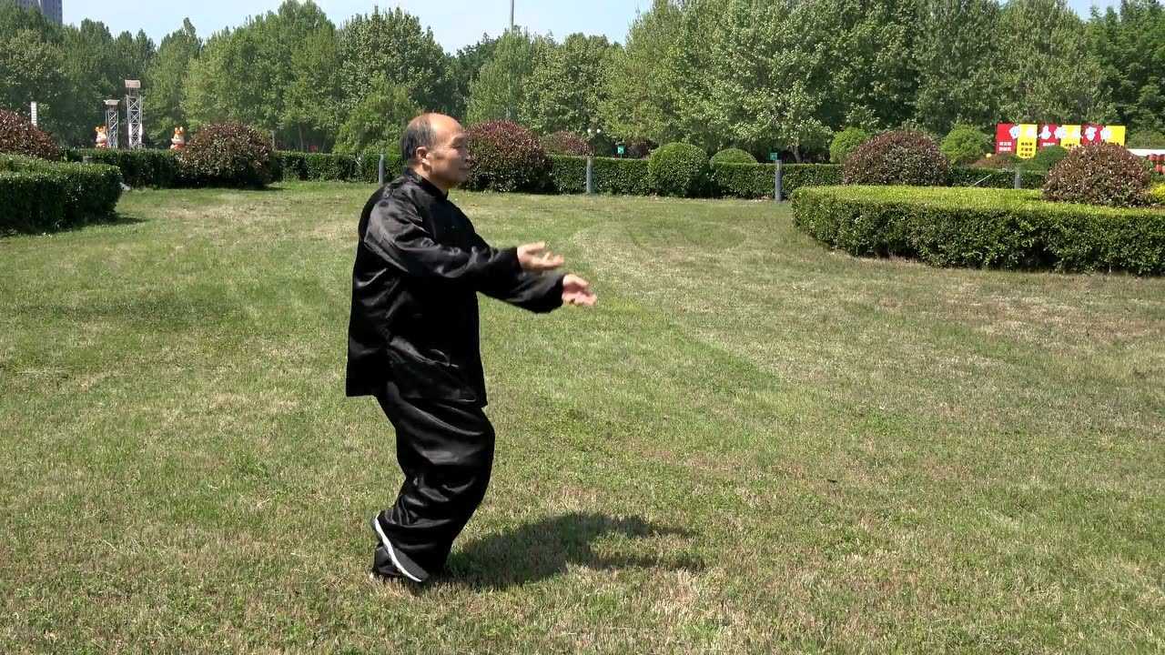 两仪拳基本功24式河南省非物质文化遗产两仪拳第五代传人段玉明