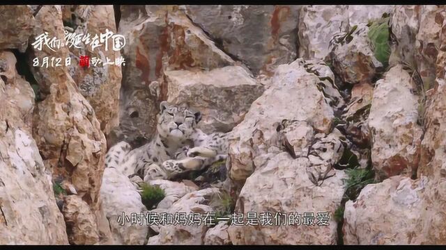 我们诞生在中国 中国预告片2 (中文字幕)