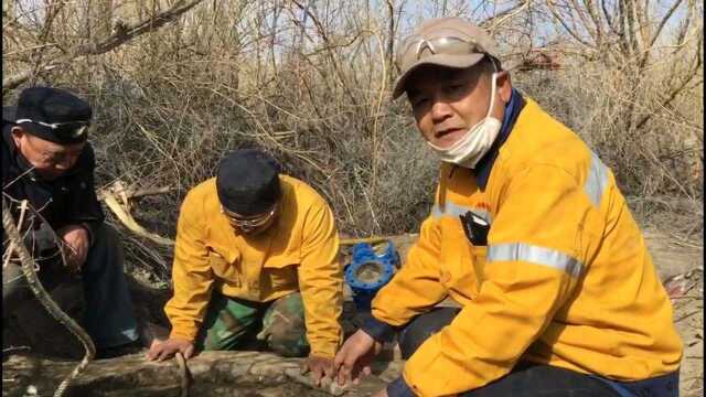 新疆铁路绿色长廊建设