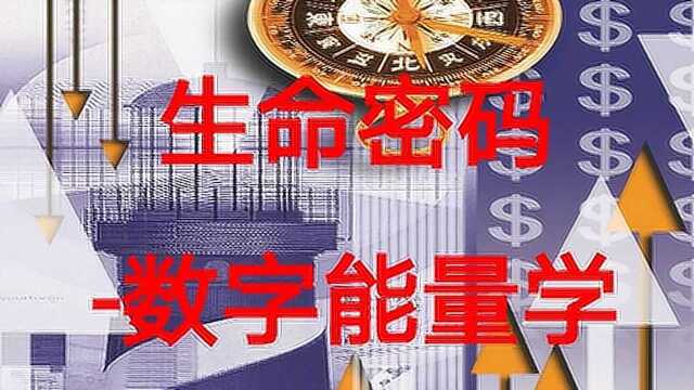 数字人生与生命密码