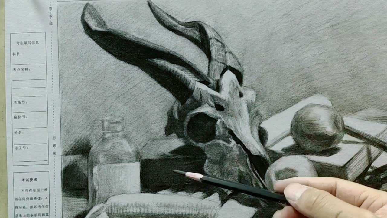 非常规类素描静物羊头骨组合主体物羊头骨的量感质感刻画