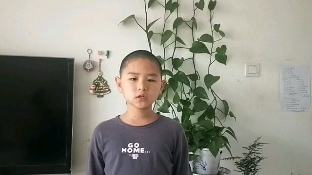 刘宇轩–临西县第七小学