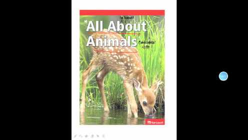 G1-02 all about animals预习课