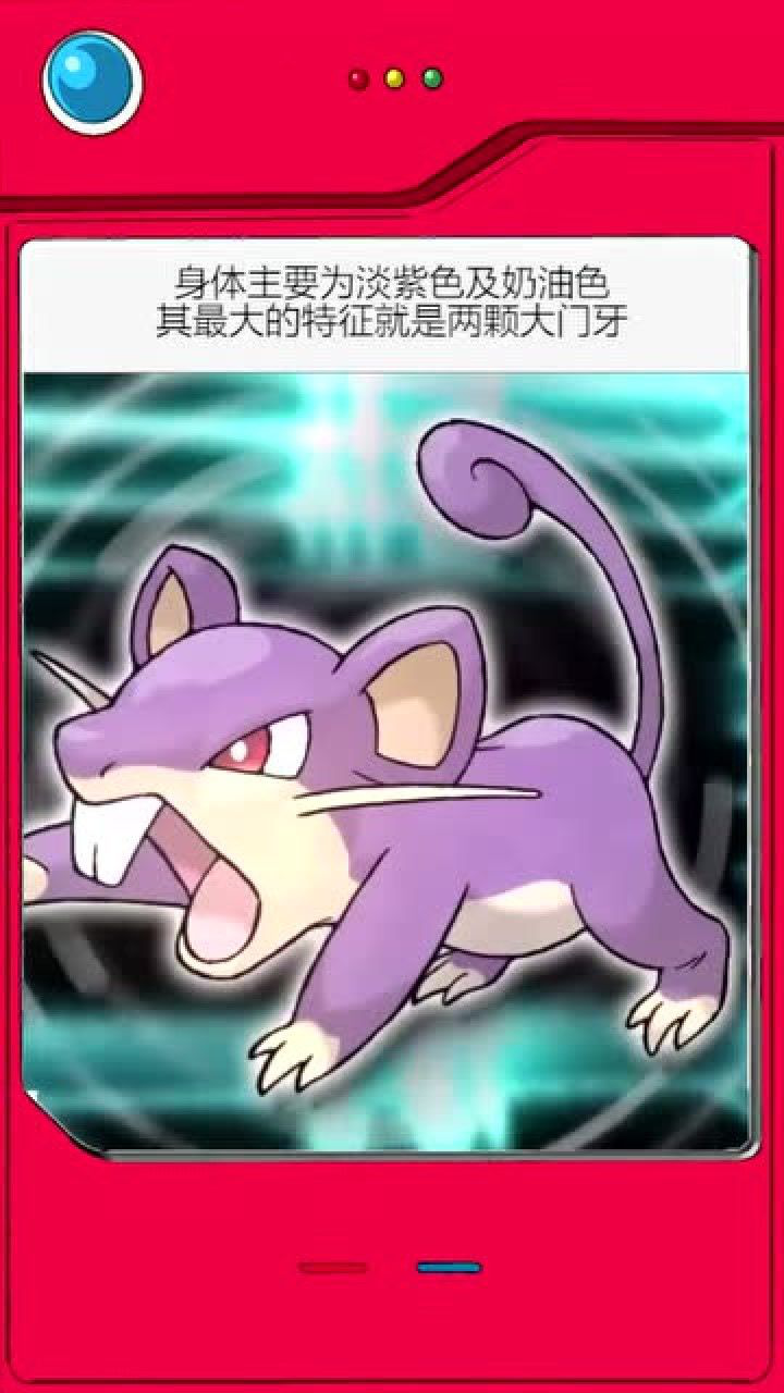 神奇宝贝盘点,全国图鉴编号019--小拉达