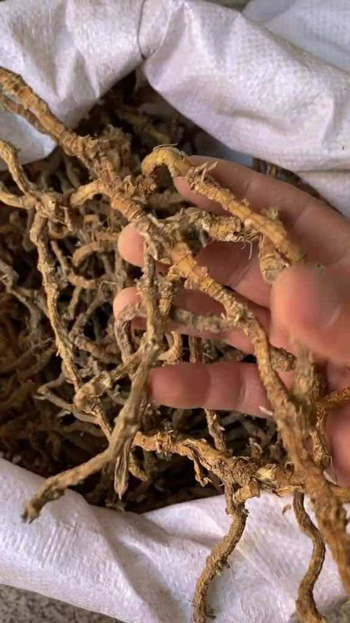 飞天蜈蚣,主要功能,风湿腰腿痛跌打损伤