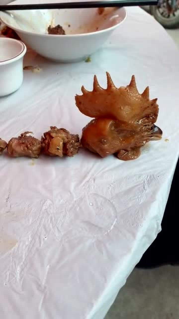 全国脖子最长的公鸡,一米长的脖子,老板说这个叫"长脖鸡"!