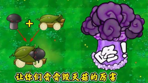 pvz:植物全副武裝,毀滅菇加農炮:讓你們嚐嚐毀滅菇的威力!