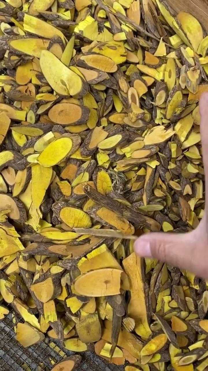 这是十大功劳木 ,产地中原各处,  一般用于清热解毒