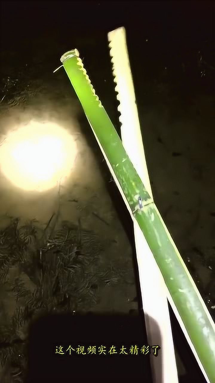 男子自制竹夹子晚上用来抓鳝鱼哇塞相当好用啊