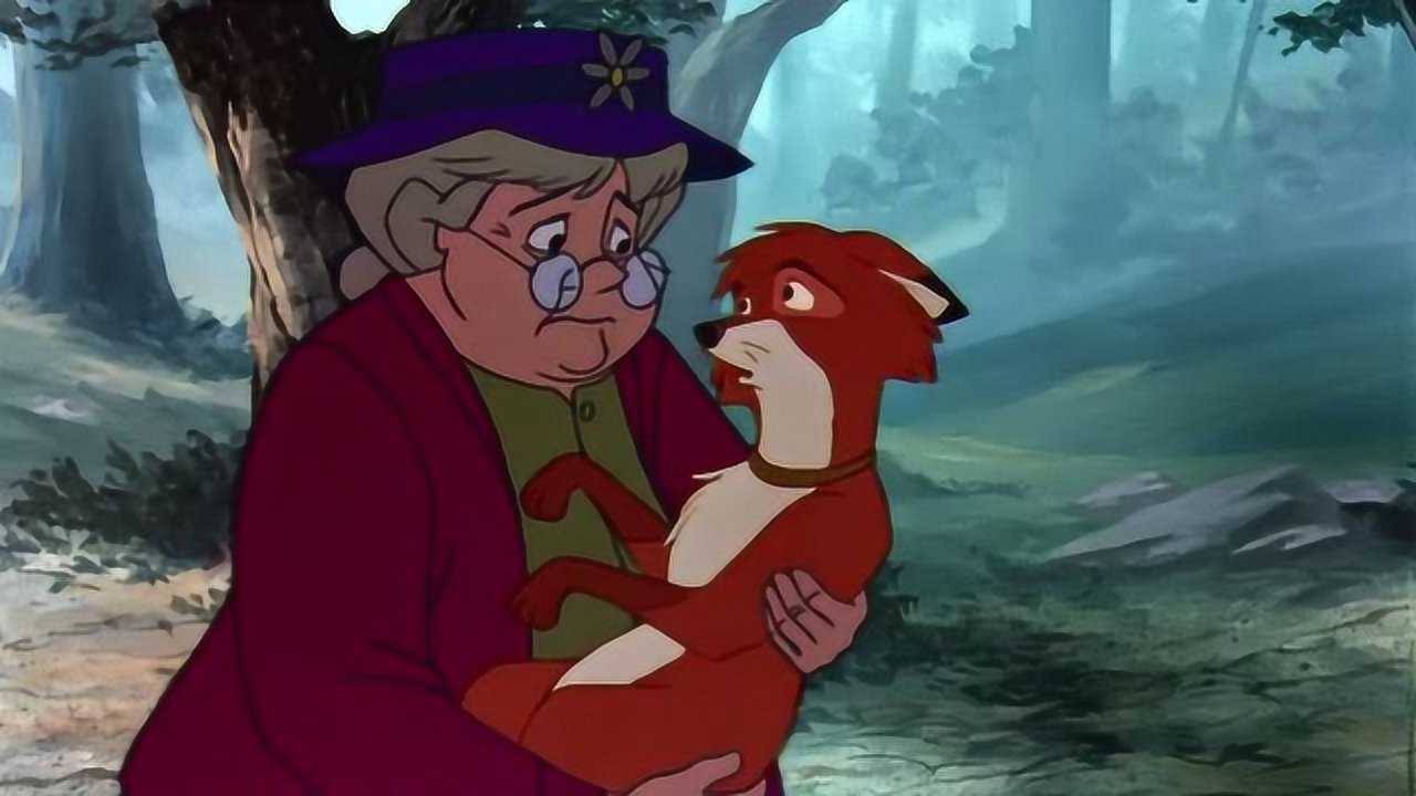 狐狸与猎狗狐:老奶奶将狐狸放到森林,狐狸遭到遗弃