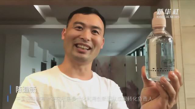 5秒钟喝上纯正香茶、茶叶做丝巾.......“百变”茶叶的另一面