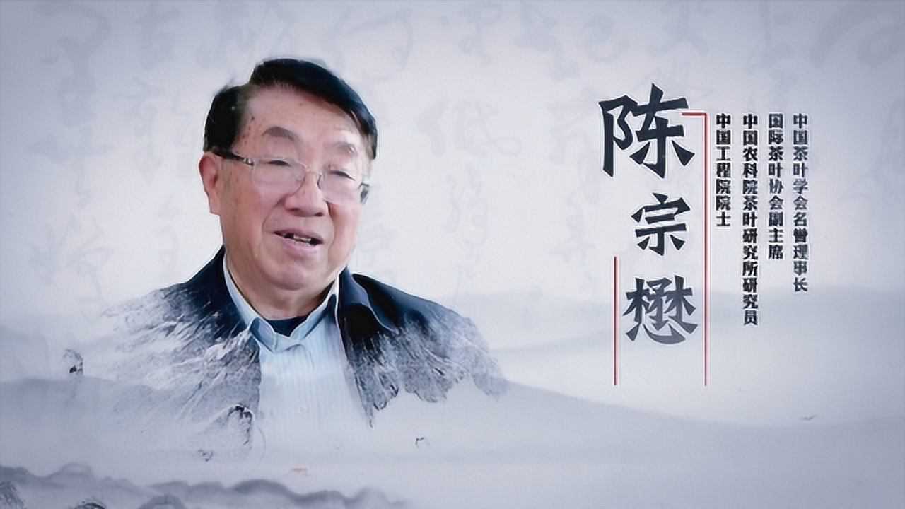 减肥的人怎么喝茶四季喝茶有何讲究陈宗懋院士告诉你