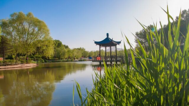 8.大同平旺公园 平旺湖水草丛生,鱼虾成群