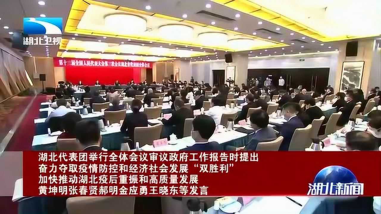 湖北代表团举行全体会议审议政府工作报告腾讯视频