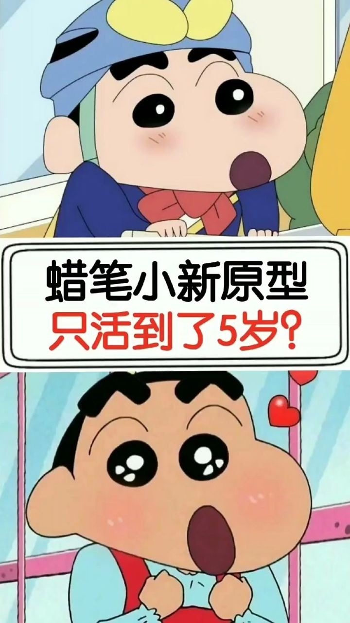 蜡笔小新活了几岁图片