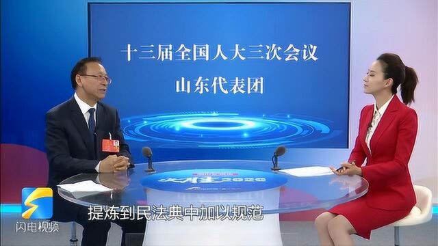 全国人大代表江必新:民法典出台后要进一步清理相关规范