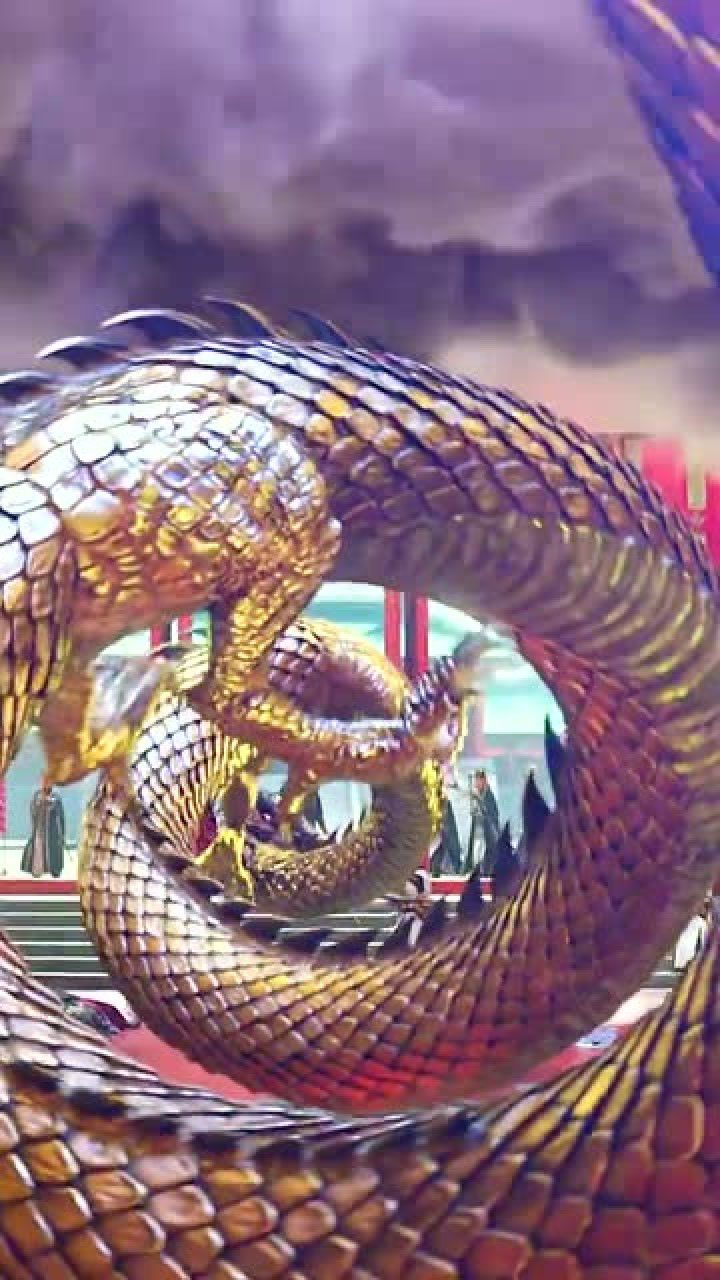 非常酷的五爪金龙特效太帅了