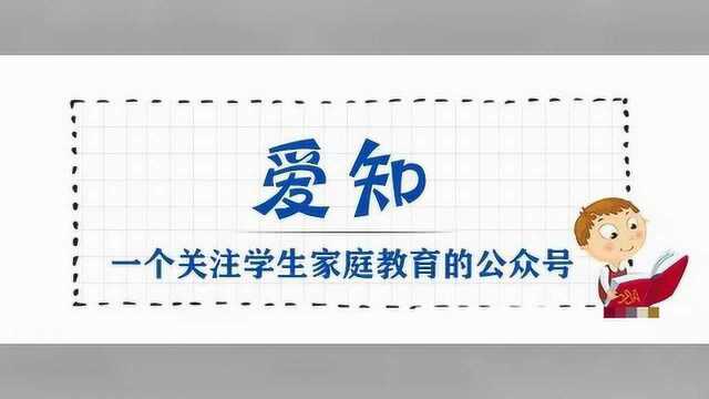 教育部下发负面清单!针对这些行为,严查