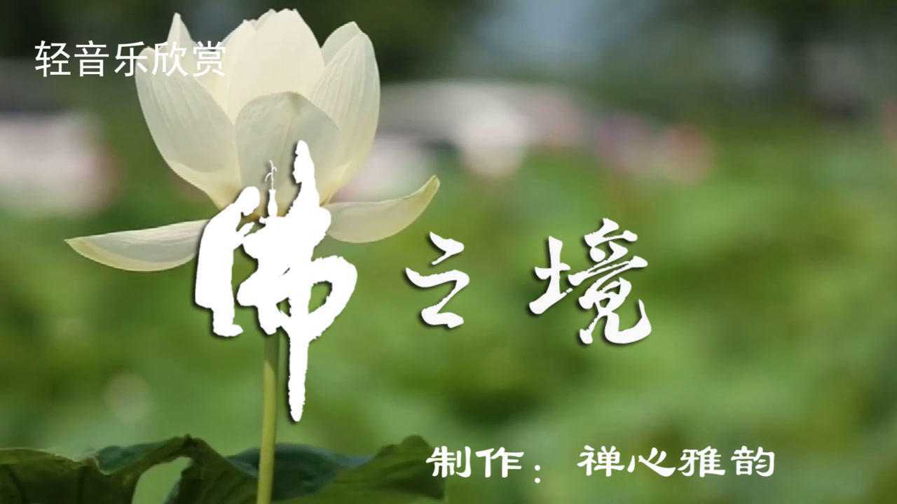 轻音乐欣赏《佛之境》,清宁恬静,修佛修心